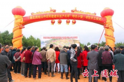 湖北药姑山中医药健康科技产业园（特色小镇）今日举行开工仪式