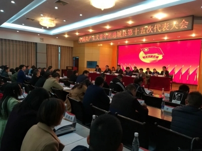 中国共产主义青年团通城县第十五次代表大会召开