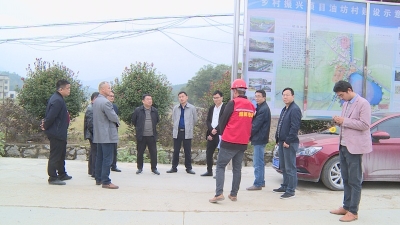 刘季平调研油坊村美丽乡村建设