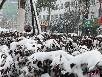 2018,通城的雪