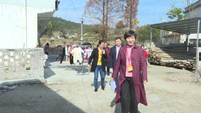 程学娟到麦市镇参加“聚力脱贫攻坚 人大代表在行动”活动 