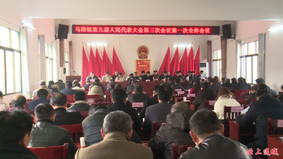 马港镇召开第九届人民代表大会第三次会议
