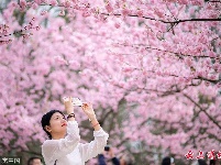 最佳热图丨视觉中国国内3月图片精选