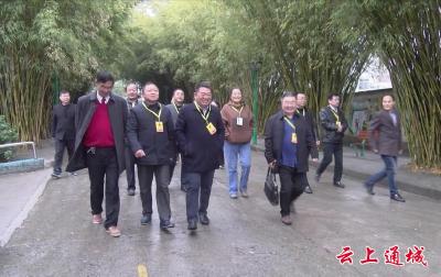 县人大常委会组织人大代表调研我县教育工作发展情况