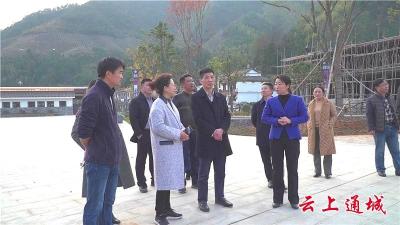 嘉鱼县政协委员来我县调研