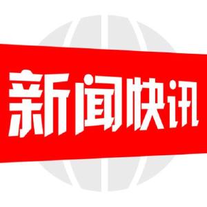 武汉全市投放“限价蔬菜” 保障抗疫“菜篮子”供应