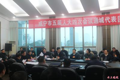 【咸宁市五届人大四次会议跟踪报道】传民意献良策通城代表向大会报到