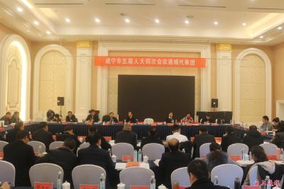 【咸宁市五届人大四次会议跟踪报道】王远鹤与通城代表团代表共同审议政府工作报告