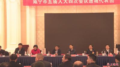 【咸宁市五届人大四次会议跟踪报道】孟祥伟看望咸宁市五届人大四次会议的通城代表