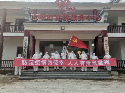 【让党旗在防疫一线高高飘扬】通城县大坪村党员先锋队，防疫宣传不停步