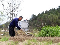 通城——春忙