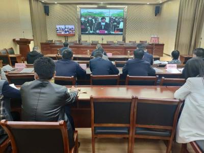 全省推进农贸市场专项整治工作电视电话会议召开