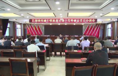 通城：“五保线”党建引领基层治理示范带项目建设有望“七一”前竣工运行