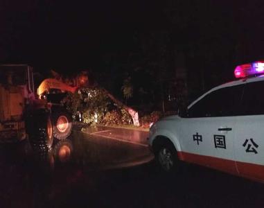 通城:应对极端天气侵袭，保障道路畅通 