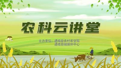 直播：【农科云讲堂】隽农再生稻--营养又健康