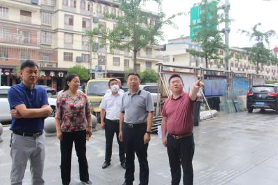 刘明灯到雁塔社区开展双报到调研