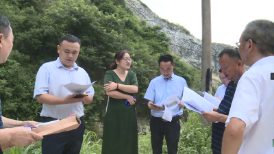 长江生态环保集团到通城考察