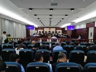 通城公开审理涉恶案   6名涉恶团伙成员被公诉