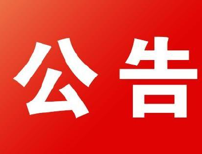 湖北省通城县人民法院公告