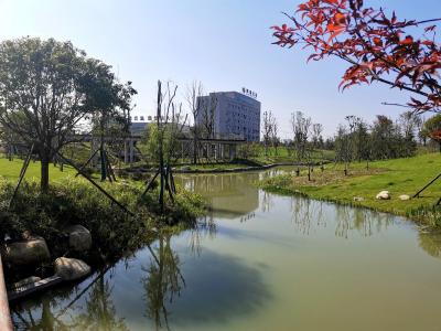 打造公园型绿色城市 通城扎实推进城区河道生态治理工程