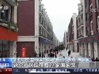 湖北通城：借进博舞台 招世界客商