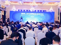 湖北通城：借进博舞台 招世界客商