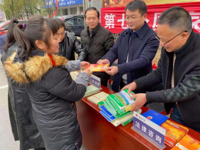 马港镇开展第七个国家宪法日宣传活动