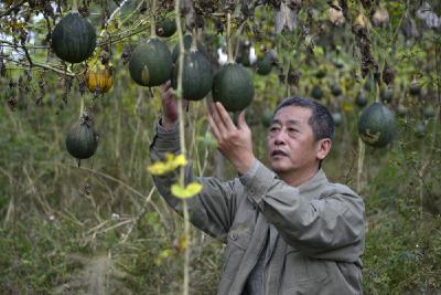 【决战决胜脱贫攻坚】陈敏：要给村里带来实实在在的变化