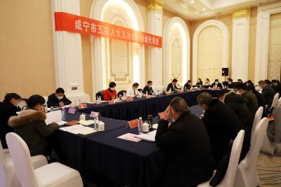 通城县代表团集中审议政府工作报告 为咸宁发展建言献策