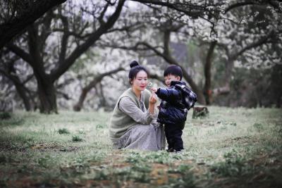 瞧！春光里满园春色 锡山李花又盛开