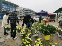 图集｜湖北通城：鲜花寄哀思 清明更清明