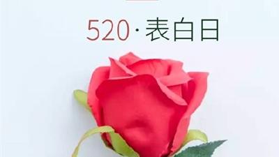 520，来自一位媒体小编的表白