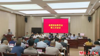 中共通城县委财经委员会第三次会议召开
