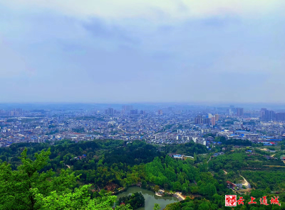 通城融媒“慢直播”今日重磅上线！7x24小时陪您看通城