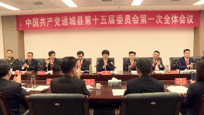 【聚焦党代会】中国共产党通城县第十五届委员会第一次全体会议举行 刘中英当选县委书记