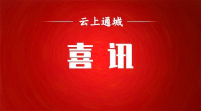 咸宁市第二届运动会，通城县获奖！