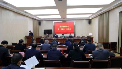 中共通城县委第十四届十一次全会召开