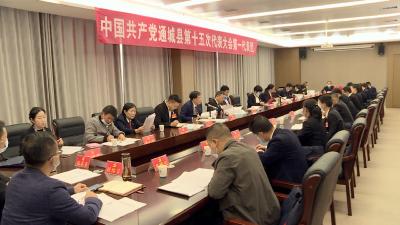 【聚焦党代会】各代表团热烈讨论县第十五次党代会工作报告