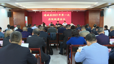 通城县2021年第一次府院联席会议召开 共商法治政府建设