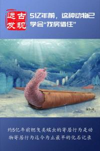 研究发现5亿年前古生物寄居行为