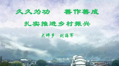 【通城县“一把手上讲台”】大坪乡：久久为功 善作善成  扎实推进乡村振兴