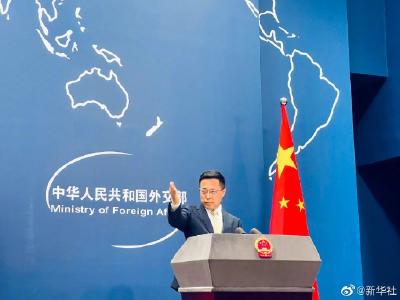 赵立坚说立陶宛犯下错误却还百般狡辩