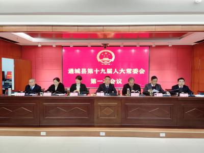 通城县第十九届人大常委会召开第一次会议 