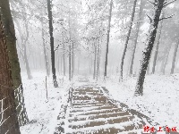 图集丨通城今冬第一场雪