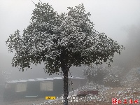 图集丨通城今冬第一场雪