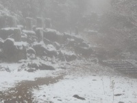 图集丨通城今冬第一场雪