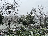 图集丨通城城区也下雪啦~