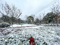 图集丨通城城区也下雪啦~