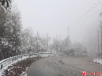 图集丨通城今冬第一场雪