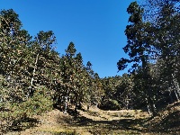 图集丨黄龙初冬美景